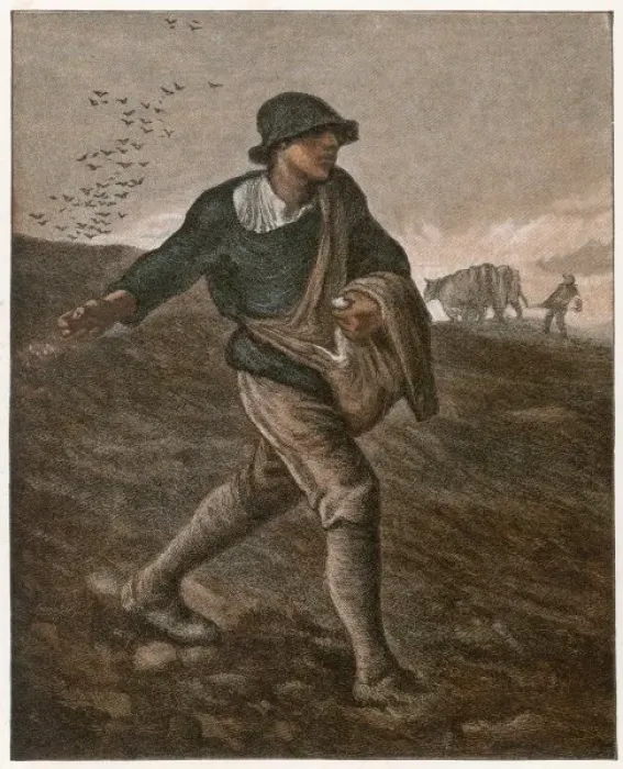 Framed Print : The Sower (Millet) Framed Print : The Sower (Millet)