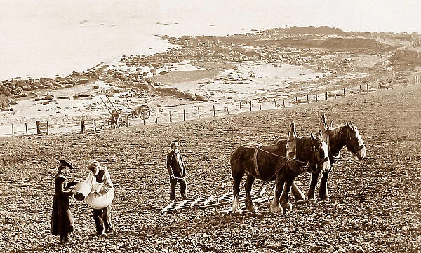 Sowing corn in the Isle of Arran