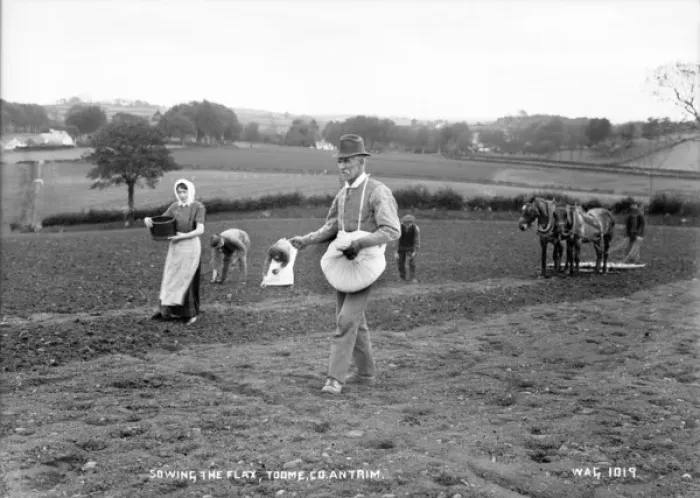 Framed Print : Sowing the Flax, Toome, Co. Antrim Framed Print : Sowing the Flax, Toome, Co. Antrim