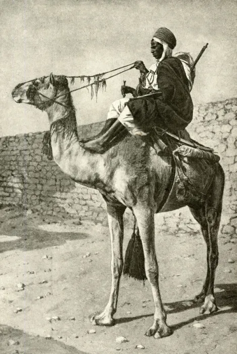 Framed Print : Spahi cavalryman on a camel, Algeria, North Africa Framed Print : Spahi cavalryman on a camel, Algeria, North Africa