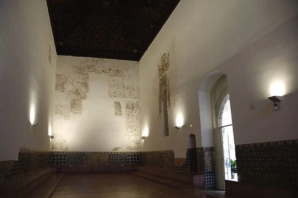 Spain. Andalusia. Seville. Island of the Charterhouse. Monas