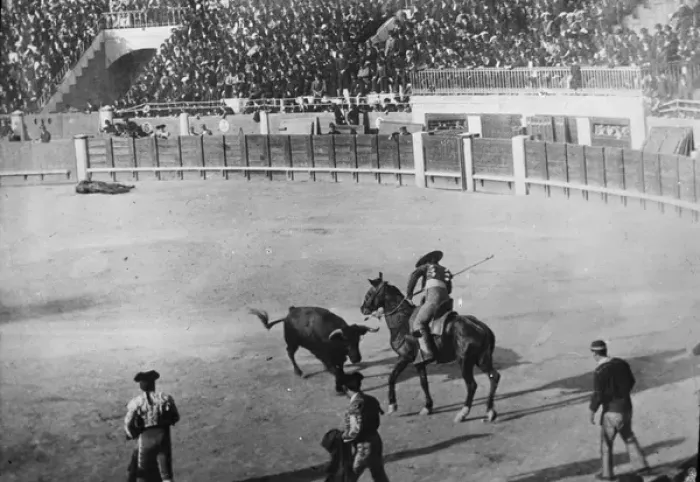 Framed Print : Spain - Bull Fighting - The Bull Attacking the Picador Framed Print : Spain - Bull Fighting - The Bull Attacking the Picador