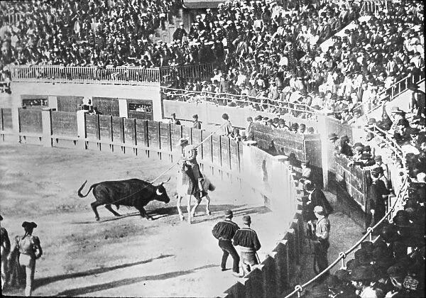 Spain - Bull Fighting - Picador - from Life