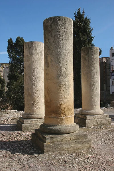 Spain. Tarragona. Roman Forum. 2nd century B. C Corinthian