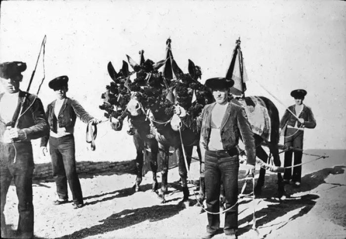 Framed Print : Spain - Team of mules used for dragging out the slain bull Framed Print : Spain - Team of mules used for dragging out the slain bull