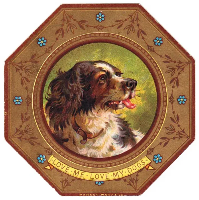 Framed Print : Spaniel on plate design on a greetings card Framed Print : Spaniel on plate design on a greetings card