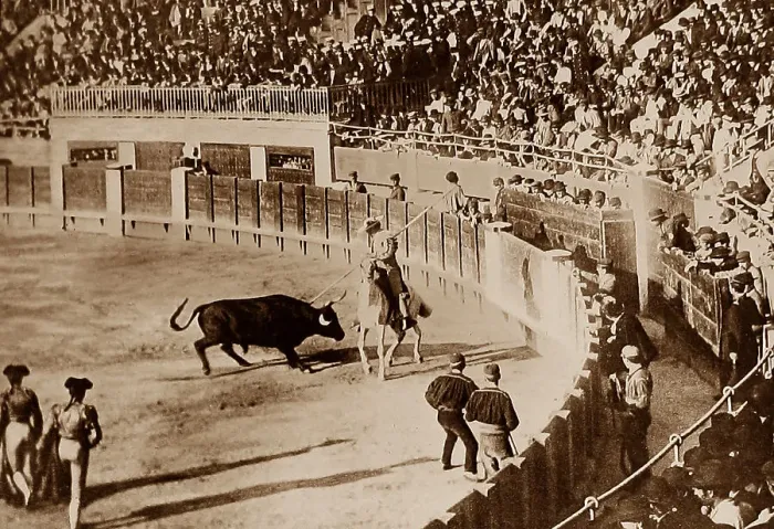 Framed Print : Spanish Bull Fight Framed Print : Spanish Bull Fight