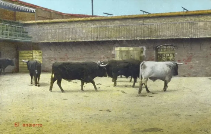 Framed Print : Spanish Bullfighting Series (1 / 12) Framed Print : Spanish Bullfighting Series (1 / 12)