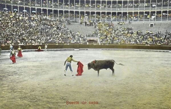 Spanish Bullfighting Series (6  /  12)
