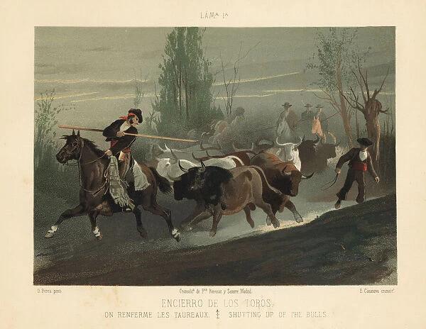 Spanish cowboys with lances shutting up the bulls