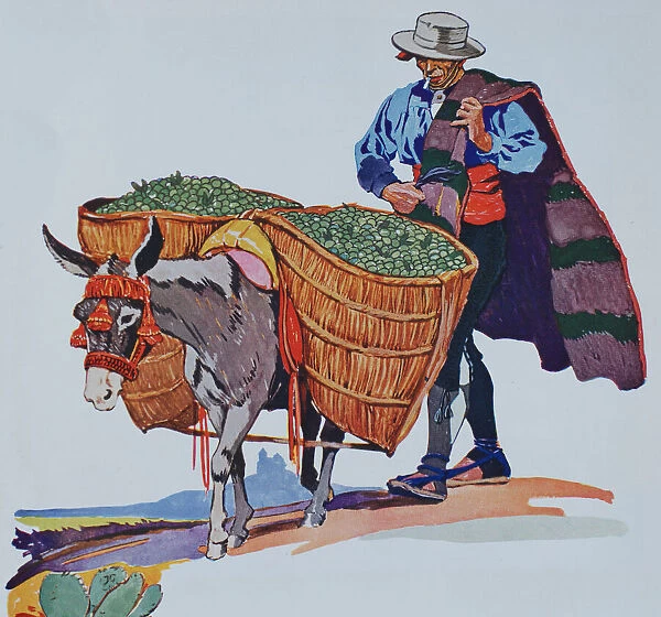 Spanish farmer with burro