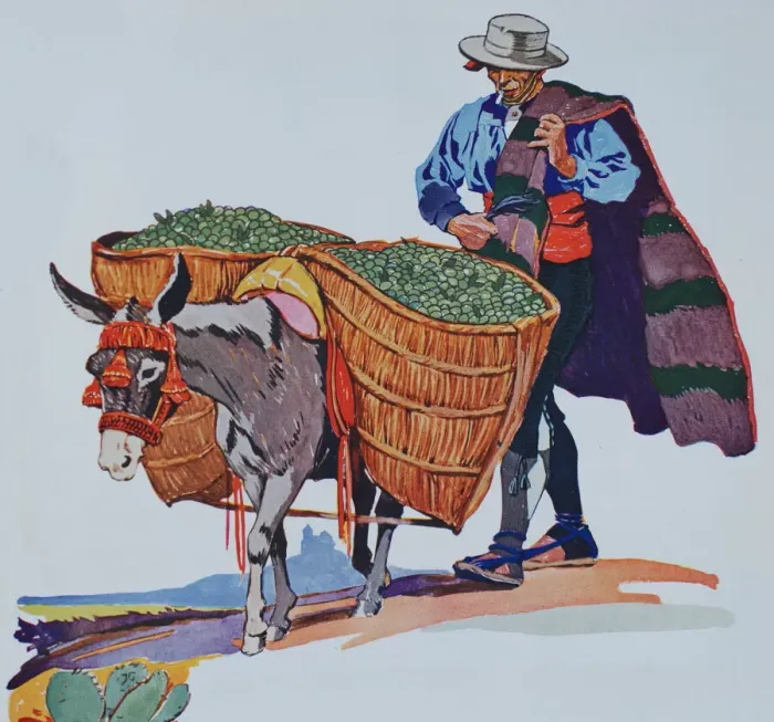Framed Print : Spanish farmer with burro Framed Print : Spanish farmer with burro