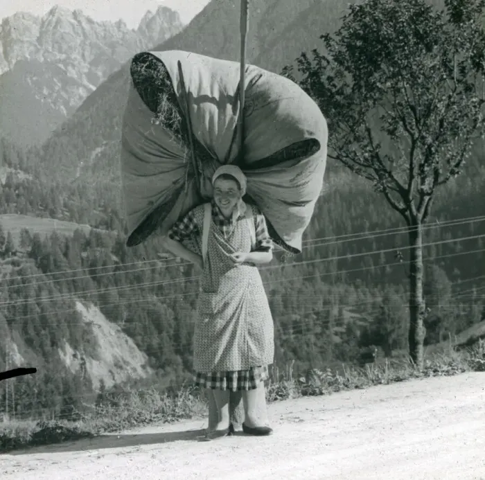 Framed Print : Spanish woman carrying a massive bundle of hay Framed Print : Spanish woman carrying a massive bundle of hay
