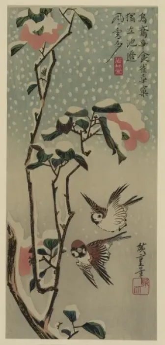 Framed Print : Sparrows and camellias in snow Framed Print : Sparrows and camellias in snow