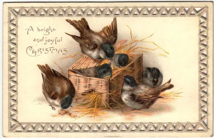 Framed Print : Six sparrows on a Christmas card Framed Print : Six sparrows on a Christmas card