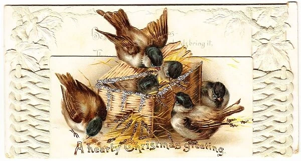 Six sparrows on a Christmas card