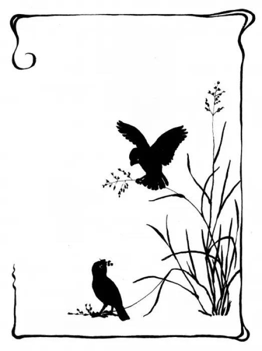 Framed Print : Two sparrows collecting grass seeds Framed Print : Two sparrows collecting grass seeds