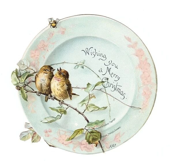 Two sparrows on a plate-shaped Christmas card