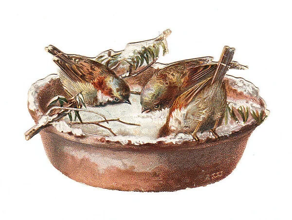Sparrows in snow on a dish-shaped Christmas card