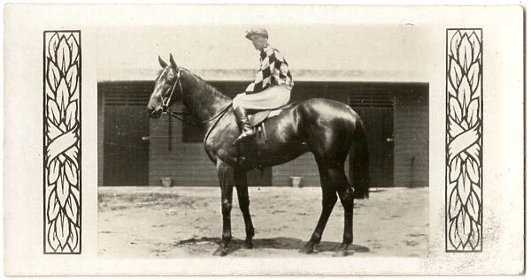 Spearfelt, Australian race horse