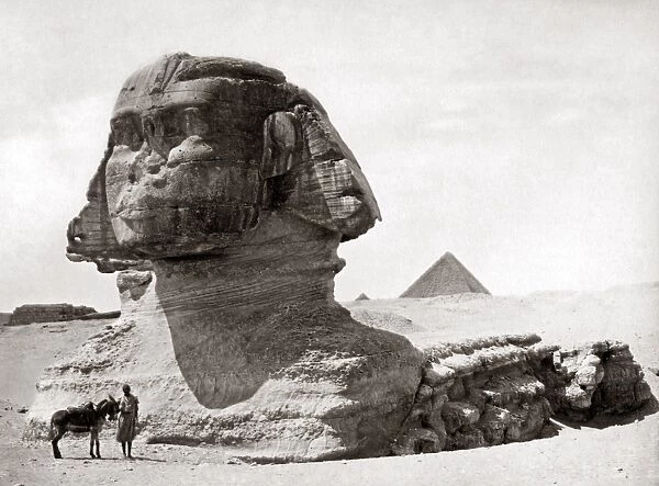 Sphinx Egypt, circa 1800s