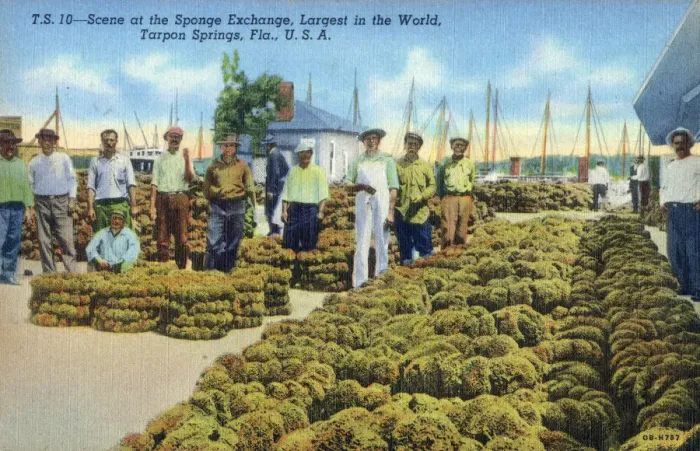 Framed Print : The Sponge Exchange at Tarpon Springs, Florida, USA Framed Print : The Sponge Exchange at Tarpon Springs, Florida, USA