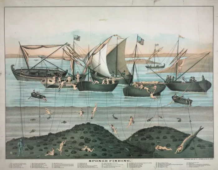 Framed Print : Sponge fishing Framed Print : Sponge fishing
