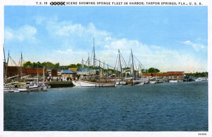 Framed Print : Sponge Fleet in Harbour - Tarpon Springs, Florida, USA Framed Print : Sponge Fleet in Harbour - Tarpon Springs, Florida, USA