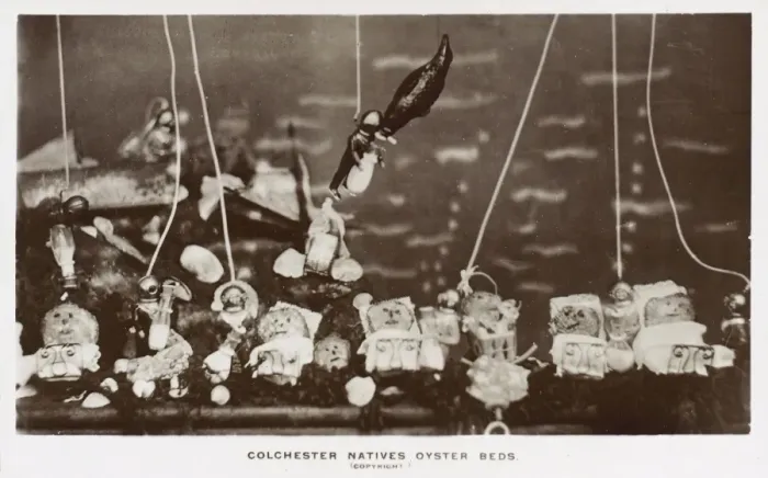 Framed Print : Spoof postcard on the Colchester Native Oyster Beds Framed Print : Spoof postcard on the Colchester Native Oyster Beds