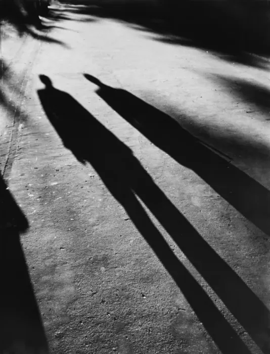 Framed Print : Spooky Shadows Framed Print : Spooky Shadows