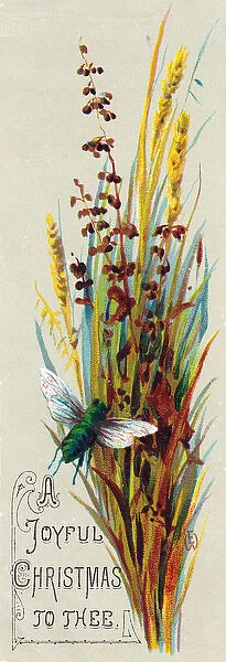 Spray of corn and brown leaves on a Christmas card