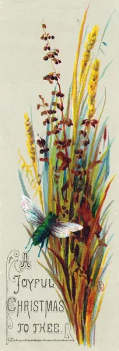 Framed Print : Spray of corn and brown leaves on a Christmas card Framed Print : Spray of corn and brown leaves on a Christmas card