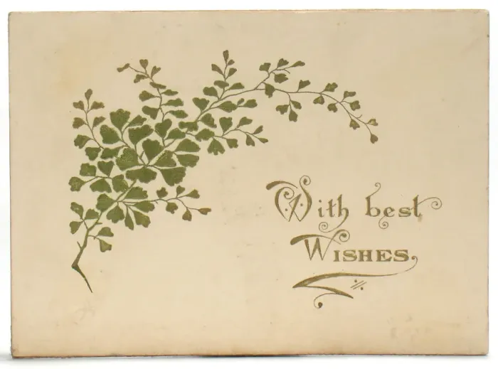 Framed Print : Spray of green leaves on a Christmas card Framed Print : Spray of green leaves on a Christmas card