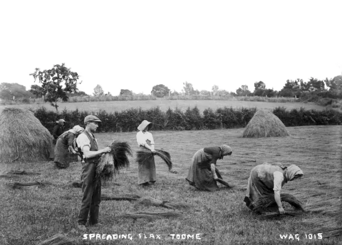 Framed Print : Spreading Flax, Toome Framed Print : Spreading Flax, Toome