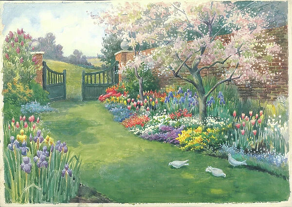 A spring border