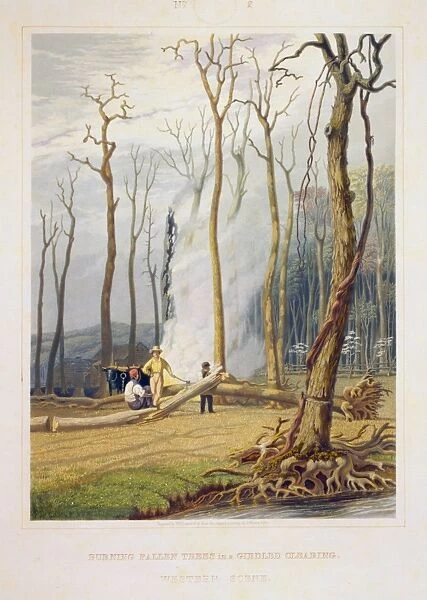 Spring--Burning fallen trees in a girdled clearing--Western
