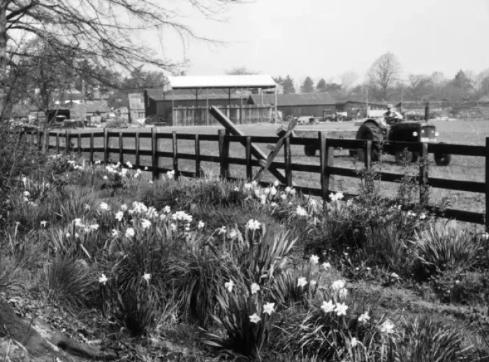 Framed Print : Spring Farming Scene Framed Print : Spring Farming Scene