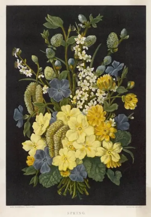 Framed Print : Spring Flowers 1880 Framed Print : Spring Flowers 1880