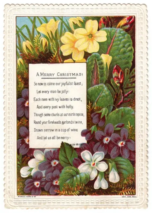 Framed Print : Spring flowers on a Christmas card Framed Print : Spring flowers on a Christmas card