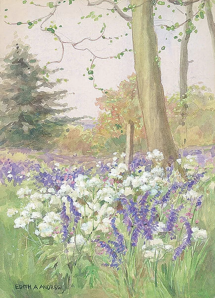 Spring in the Meadow - Gardens