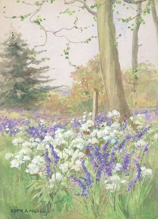 Framed Print : Spring in the Meadow - Gardens Framed Print : Spring in the Meadow - Gardens