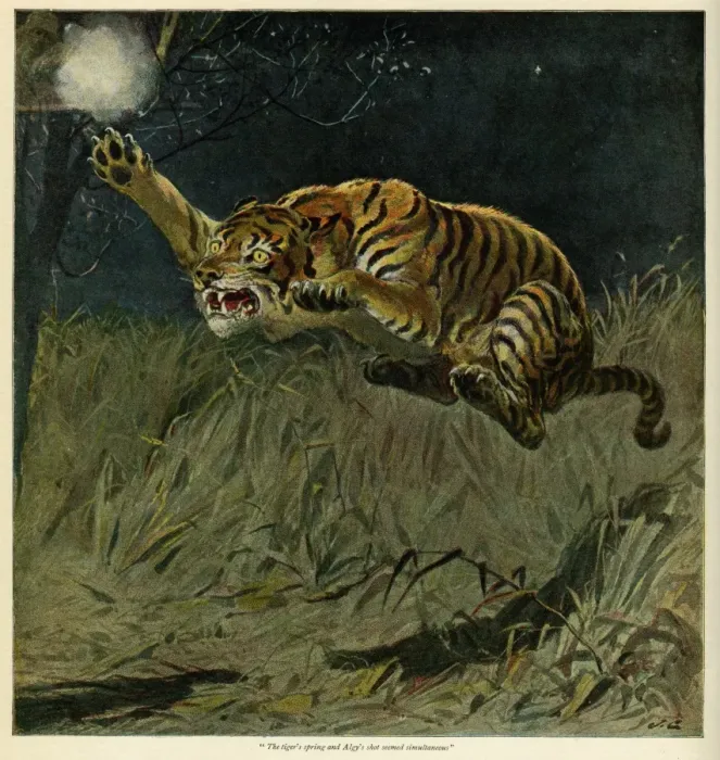 Framed Print : Springing Tiger Framed Print : Springing Tiger