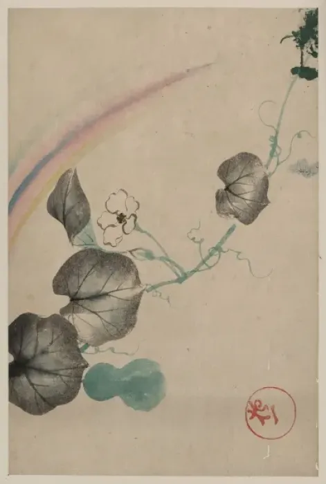 Framed Print : Squash vine with blossom, squash, and rainbow, with publishe Framed Print : Squash vine with blossom, squash, and rainbow, with publishe