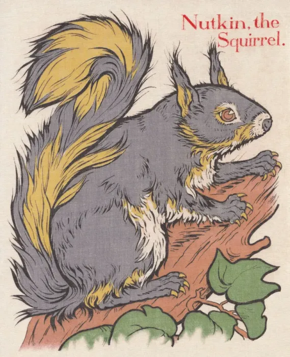 Framed Print : Squirrel. An image depicting a grey squirrel. Artist: Edith Berkeley Framed Print : Squirrel. An image depicting a grey squirrel. Artist: Edith Berkeley