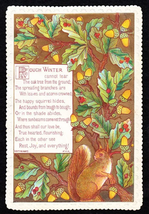 Framed Print : Squirrel and acorns on a greetings card Framed Print : Squirrel and acorns on a greetings card