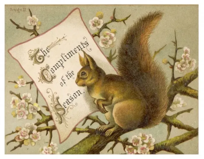 Framed Print : Squirrel New Year Card