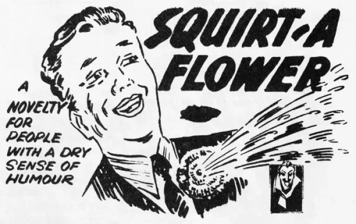 Framed Print : Squirt-A-Flower Framed Print : Squirt-A-Flower
