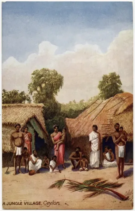 Framed Print : Sri Lanka - A Jungle Village Framed Print : Sri Lanka - A Jungle Village
