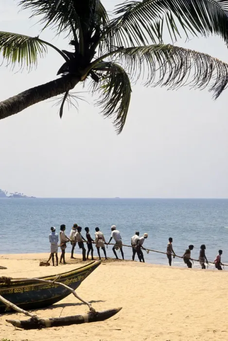 Framed Print : Sri Lankan beach fishermen hauling nets - 1
