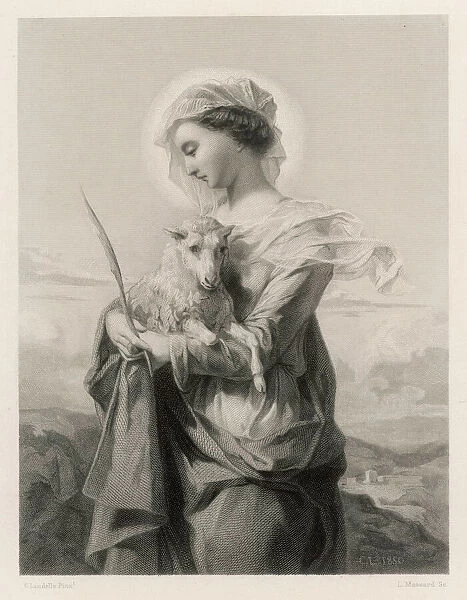 St Agnes  /  Saintes Femmes